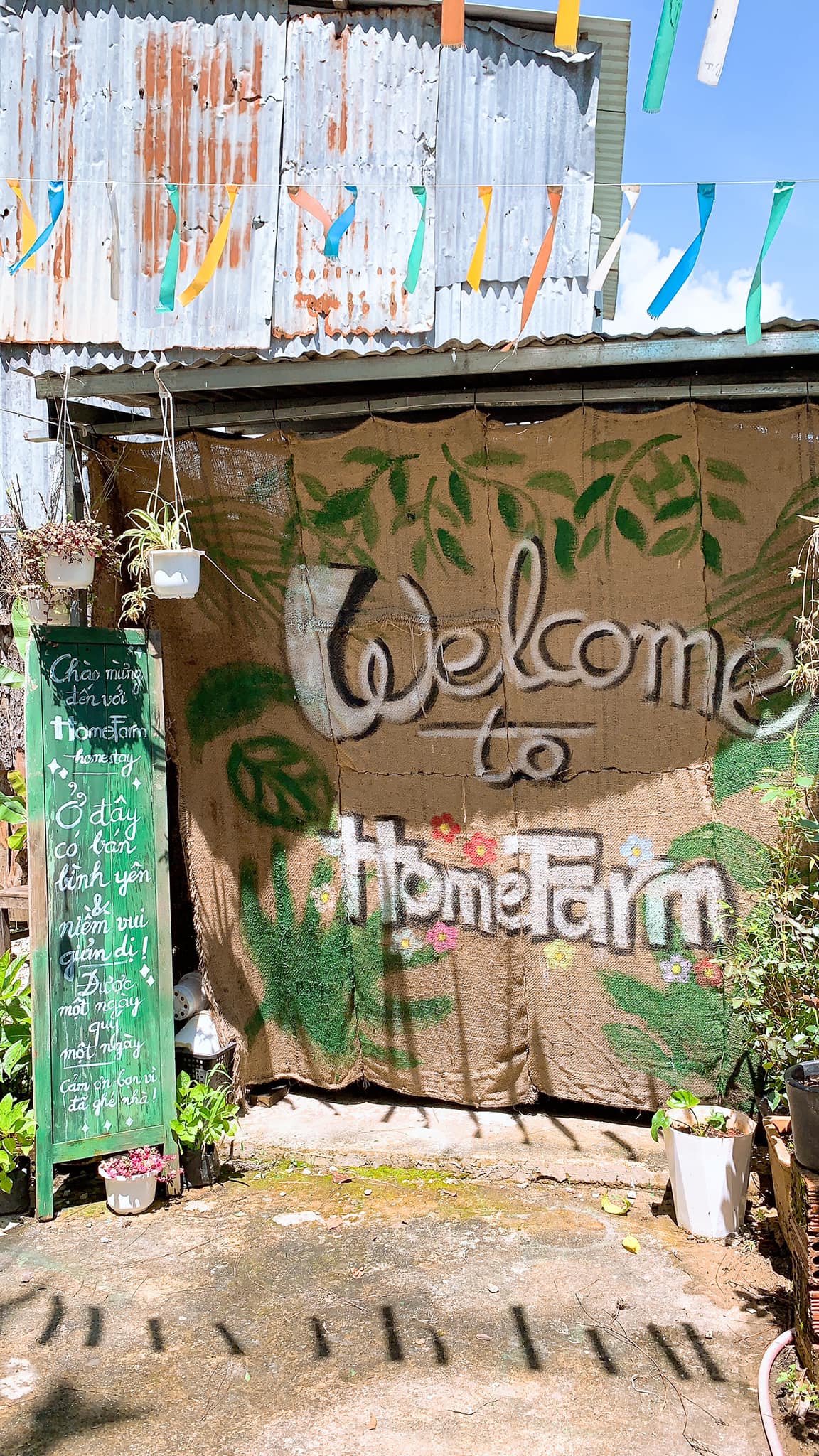 Homefarm Thiết kế homestay phong cách Bohemian